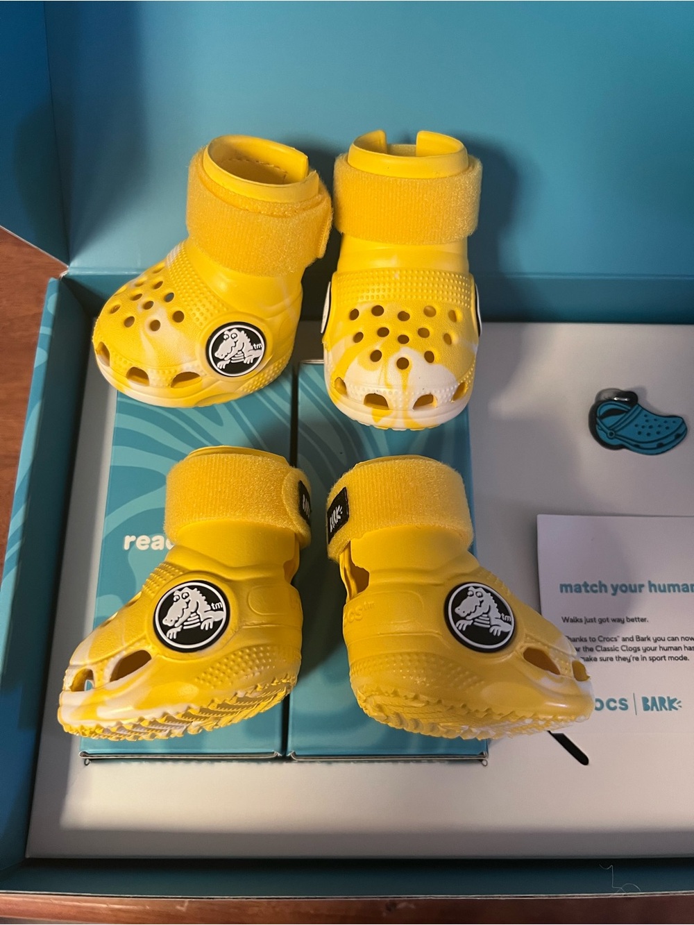 NIB Bark x CROCS Dog Yellow Waterproof Shoes Size Medium
